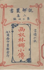 西奴林娜小传 言情小说