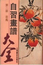 自习画谱大全 2