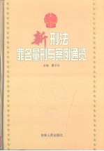 新刑法罪名量刑与案例通览 上