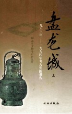 盘龙城 1963-1994年考古发掘报告 上