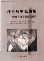 丹丹乌里克遗址 中日共同考察研究报告