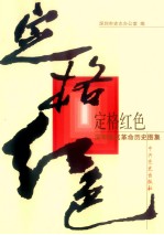 定格红色 深圳地区革命历史图集
