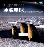 冰冻星球 超乎想象的奇妙世界