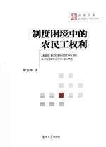 制度困境中的农民工权利