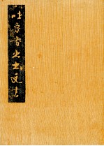 吐鲁番出土文书 肆