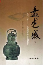 盘龙城 1963-1994年考古发掘报告 下