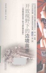开发视野下的边境苗寨 云南麻栗坡县董千镇马崩存调查报告
