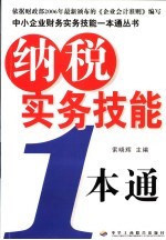纳税实务技能一本通