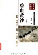 碧血黄沙 上 第2版