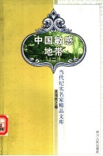 中国敏感地带 2 第2版