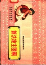 助产员训练教材 新法接生图解