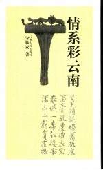 情系彩云南