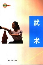 中国艺术百科全书 武术