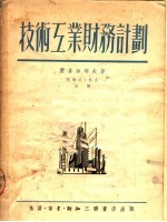 技术互业财务计划