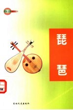 中国艺术百科全书 琵琶
