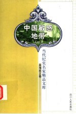 中国敏感地带 1 第2版