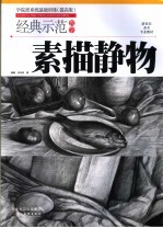 经典示范教学 素描静物 提高版