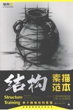 单个静物结构素描范本