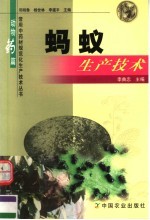 蚂蚁生产技术