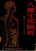 人体生理图解