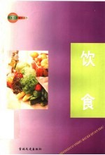 中国艺术百科全书 饮食