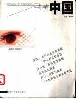 扫描中国