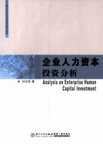 企业人力资本投资分析