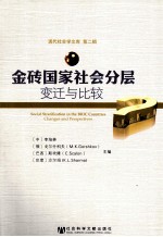 金砖国家社会分层 变迁与比较