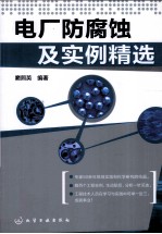电厂防腐蚀及实例精选