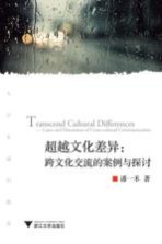 超越文化差异 跨文化交流的案例与探讨
