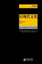 后现代文化 技术发展的社会文化后果
