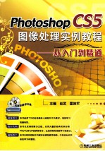 Photoshop CS5图像处理实例教程 从入门到精通