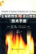 生物质燃烧与混合燃烧技术手册