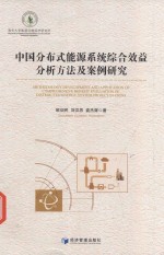 中国分布式能源系统综合效益分析方法及案例研究