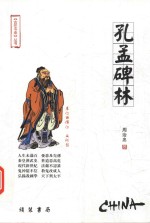 古往今来丛书 孔孟碑林