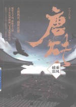 唐砖 5 乘风破浪