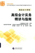 高级会计资格 高级会计实务精讲与指南