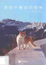 旅途中邂逅的猫咪