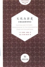 文明与世界译丛 文化与历史 文明比较研究导论