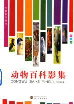 动物百科影集