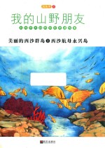 我的山野朋友 美丽的西沙群岛 1 西沙航母永兴岛