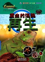 重生的涅盘 再生