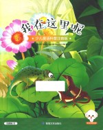 小豆子彩书坊 少儿童话科普 我在这里呢 彩绘注音版
