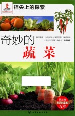 指尖上的探索 奇妙的蔬菜
