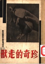 万有画库 13 珍奇的走兽