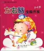 左右脑全脑开发 5-6岁