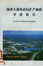 加拿大前寒武纪矿产地质考察报告