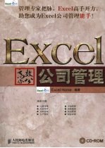 Excel高效办公 公司管理