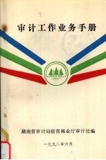 审计工作业务手册
