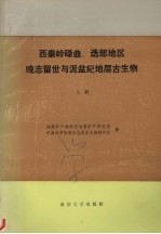 西秦岭碌曲、迭部地区晚志留世与泥盆纪地层古生物 （上册）